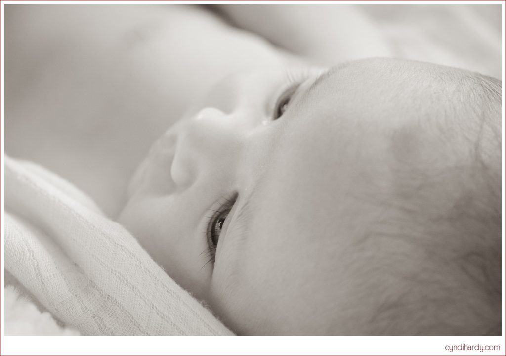 newborn, portrait, cyndi hardy photography, photographer, photography