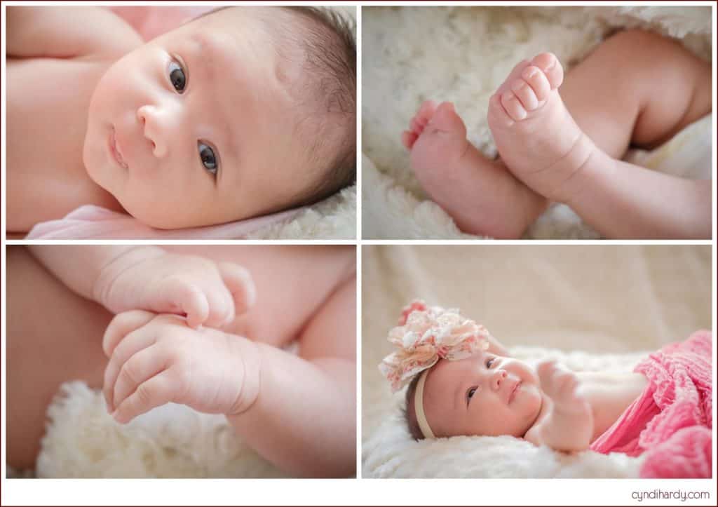 newborn, portrait, cyndi hardy photography, photographer, photography