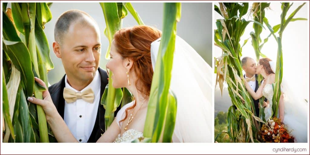 wedding, cyndi hardy photography, photography, photographer, vista, california, bates nut farm, pumpkin patch, rustic, fall, autumn