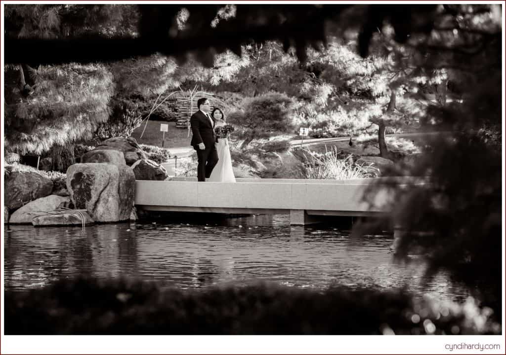 wedding, cyndi hardy photography, photography, photographer, phoenix, arizona, small, intimate, japanese friendship garden