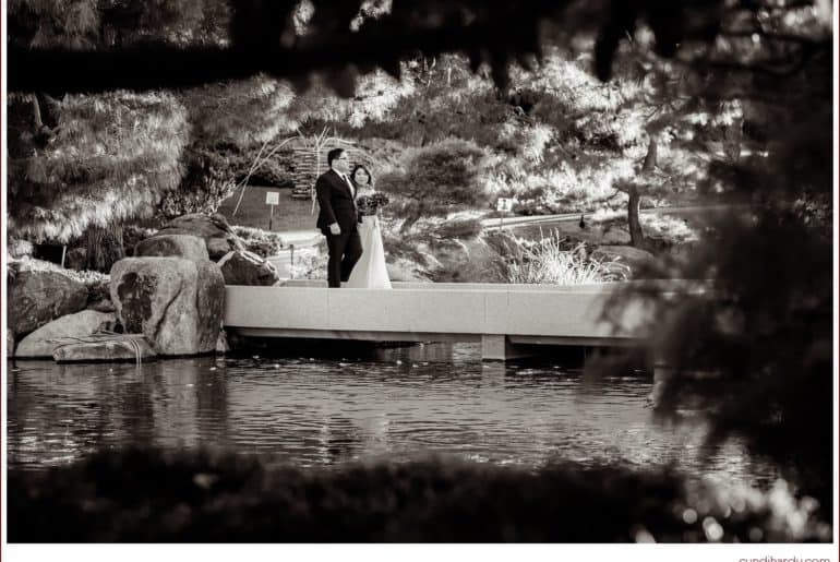 wedding, cyndi hardy photography, photography, photographer, phoenix, arizona, small, intimate, japanese friendship garden